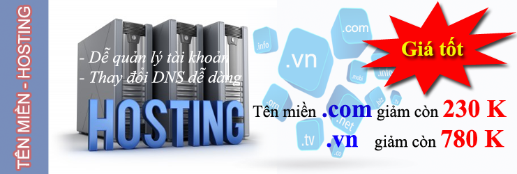 ISB hosting-ten-mien